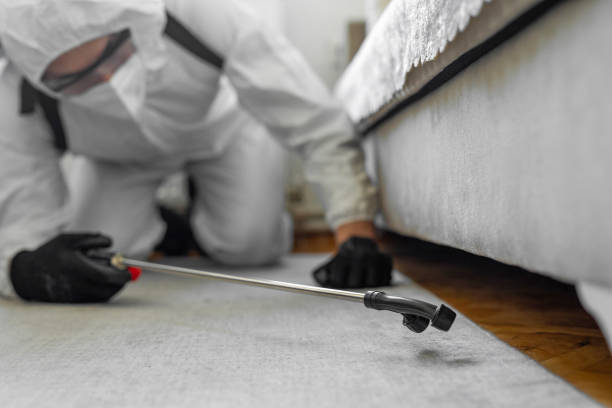 Professional Bed Bug Control technician working in Ingham County County, MI